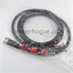 CABLE 10 PIEDS POUR INSIGHT II